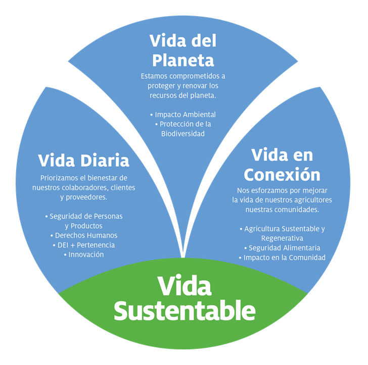 Cuales Son Los Procesos Sustentables slipingamapa Cuales Son Los Procesos Sustentables slipingamapa